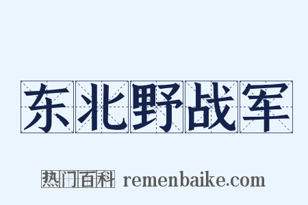 东北野战军是什么意思的图片